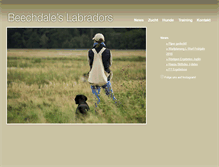 Tablet Screenshot of beechdale.at
